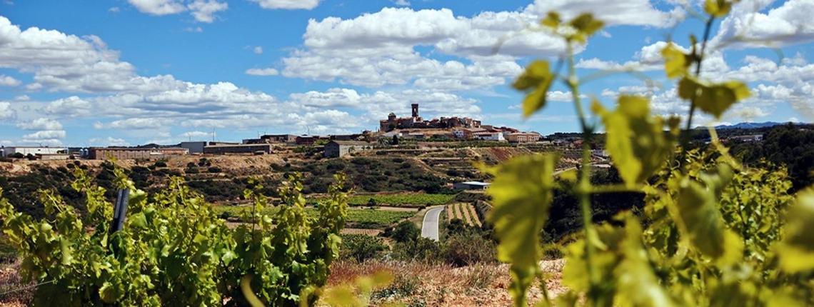 Apartaments Rurals Cal Parro, Batea Exteriér fotografie